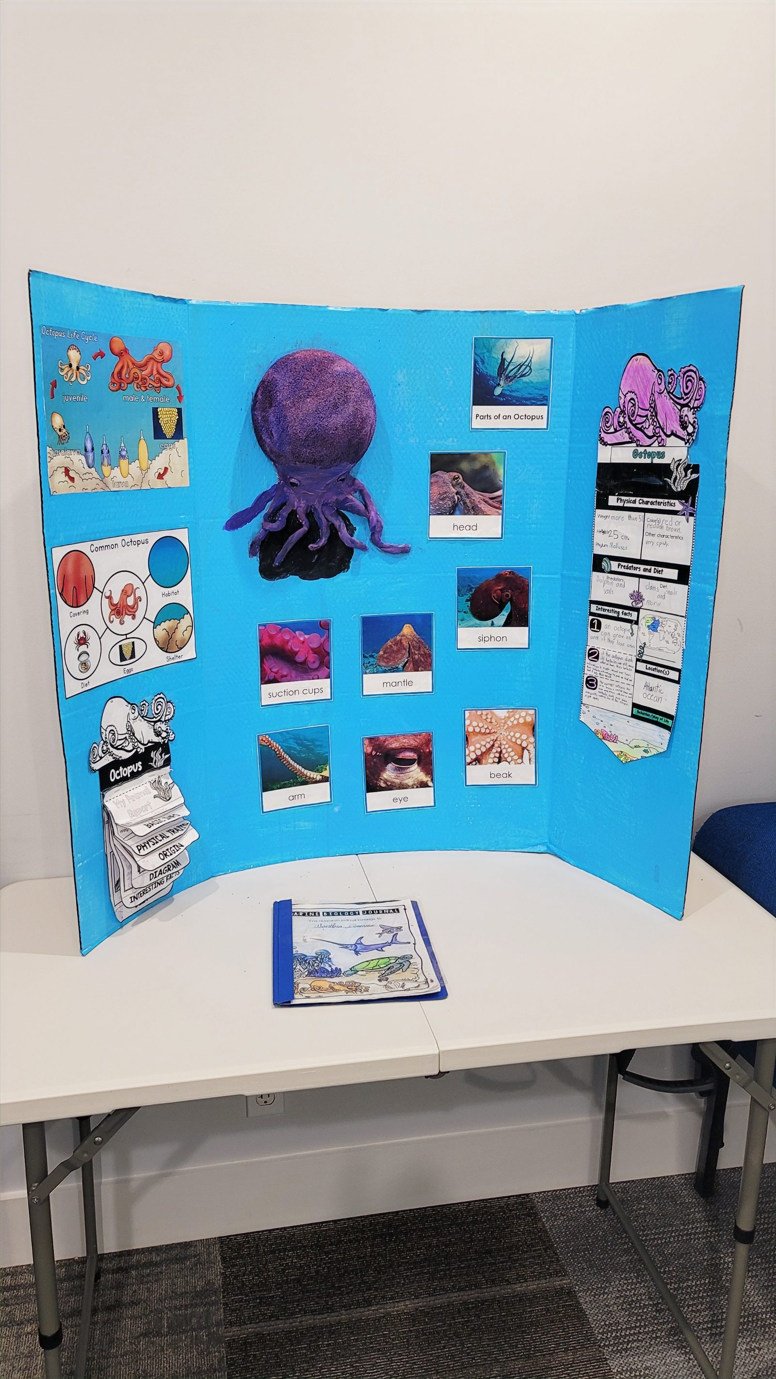 Science Fair